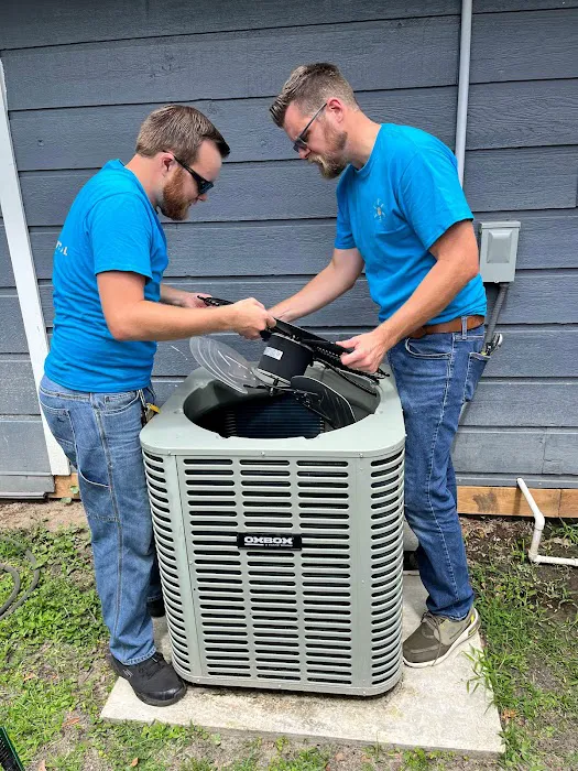 Backs Mechanical Picture 10