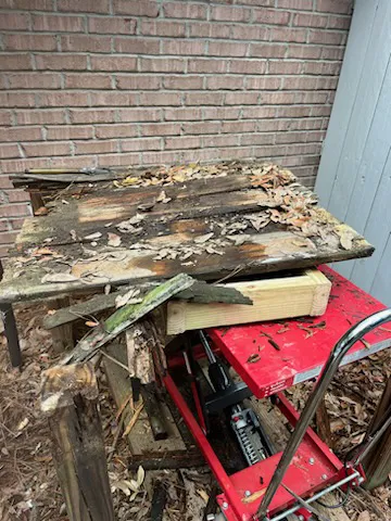 Backs Mechanical Picture 8