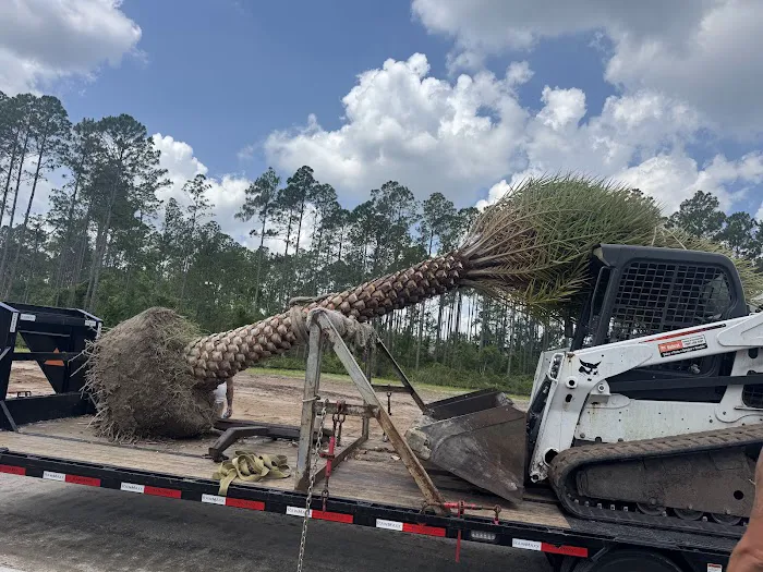 Island Service Group Picture 6