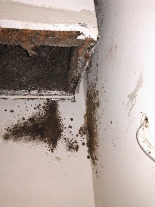 Chumley Services Picture 7