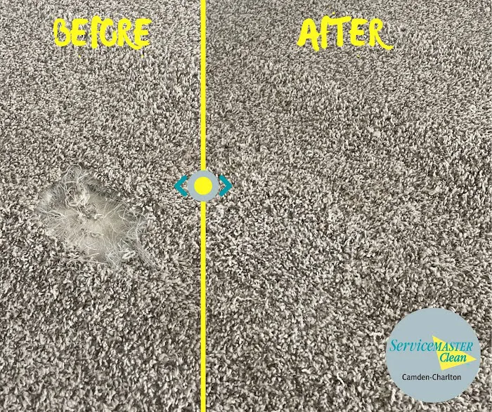 ServiceMaster of Camden-Charlton Picture 9