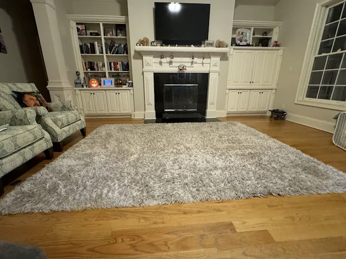 Stanley Steemer Picture 1