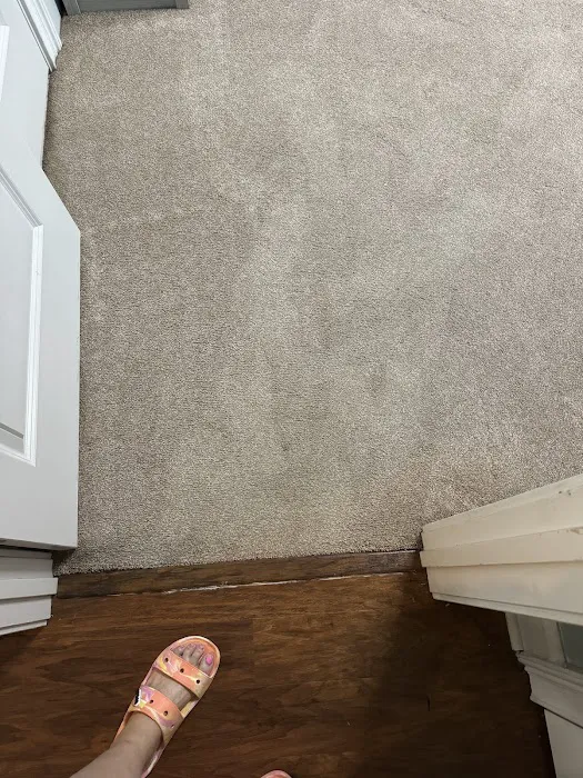 Stanley Steemer Picture 4