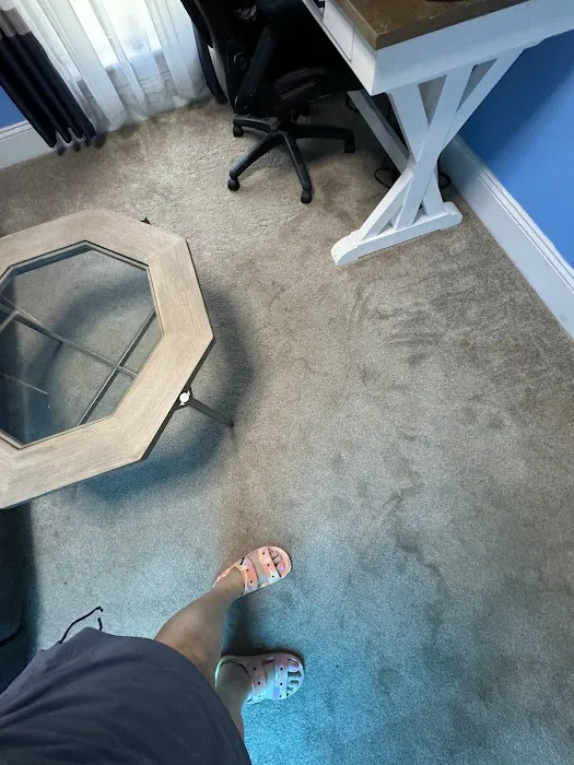 Stanley Steemer Picture 5