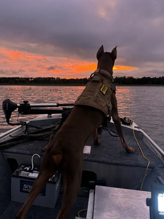 Alpha Heating and Cooling, LLC Picture 1