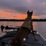 Alpha Heating and Cooling, LLC