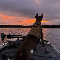 Alpha Heating and Cooling, LLC ico