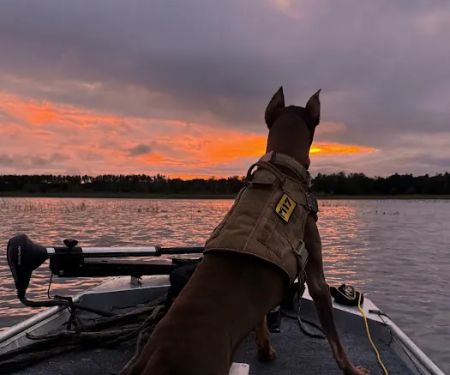 Alpha Heating and Cooling, LLC