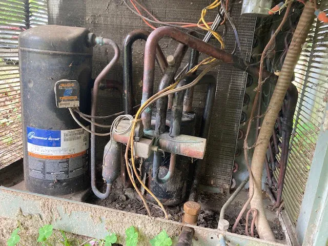 Long Heating and Cooling Picture 3