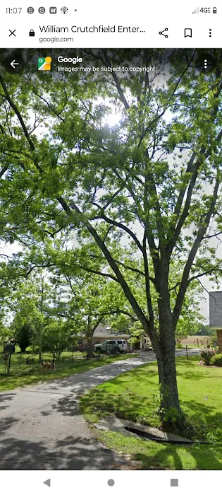 William Crutchfield Enterprises Inc Picture 3