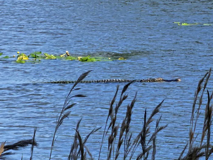 Damm Good Plumbing & Air Picture 10