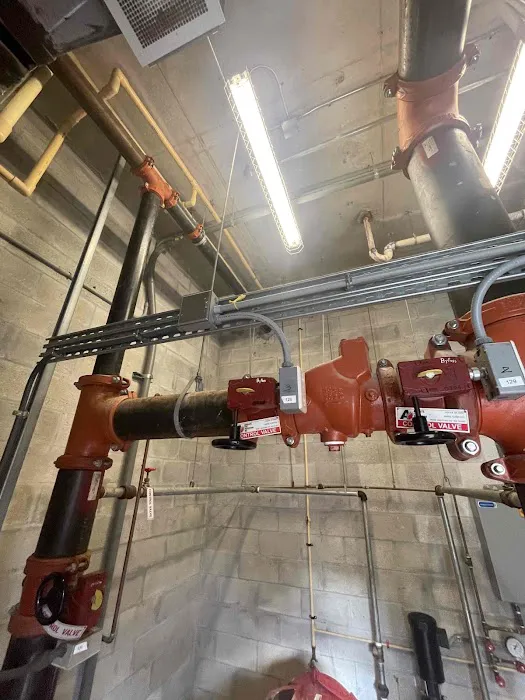 Rack Electric Picture 5