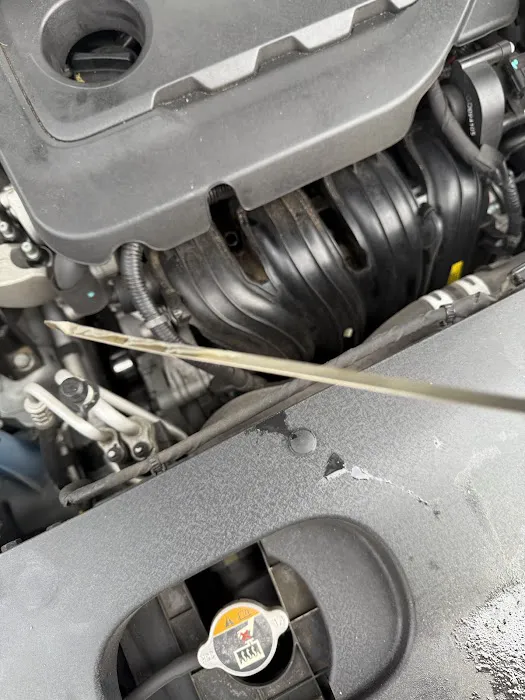 American LubeFast Picture 8