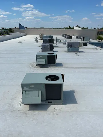 Shoreline Maintenance Group LLC Picture 1