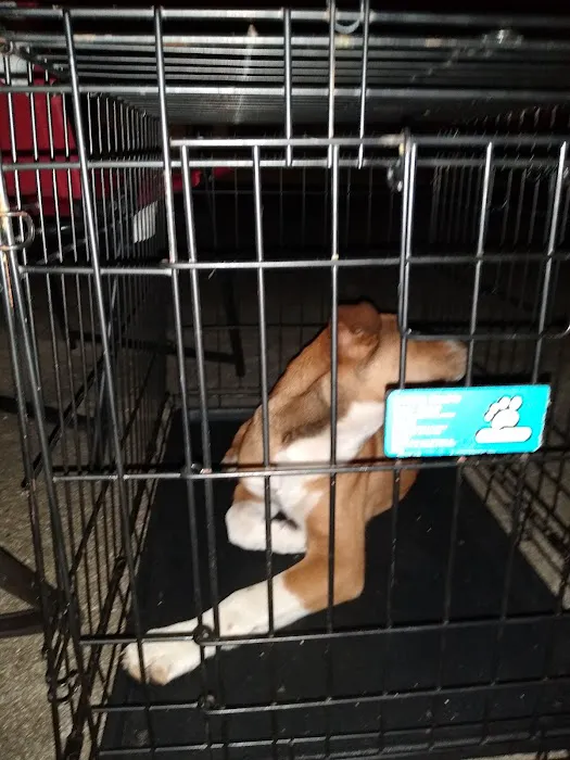 Home Services at The Home Depot Picture 5