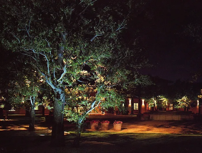 Energy Today Picture 10