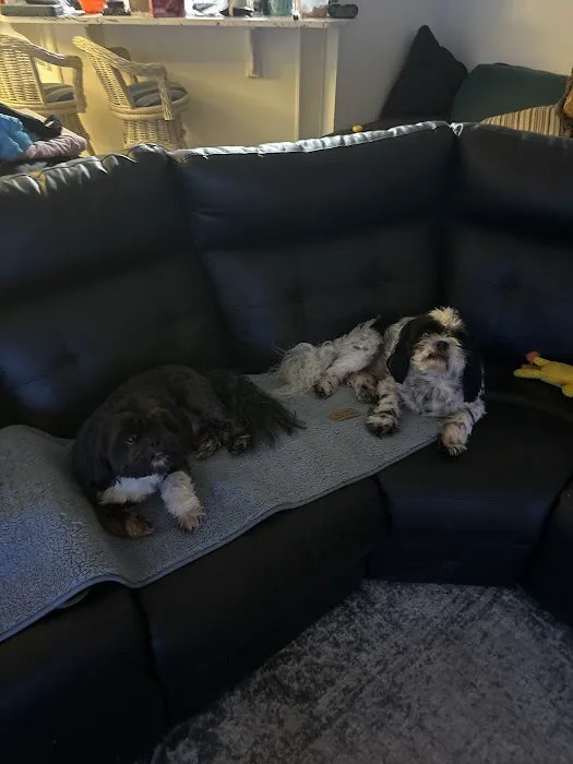 All American A/C Picture 7