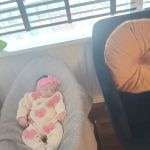 The Home Improvement Store