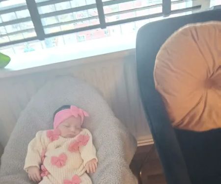 The Home Improvement Store