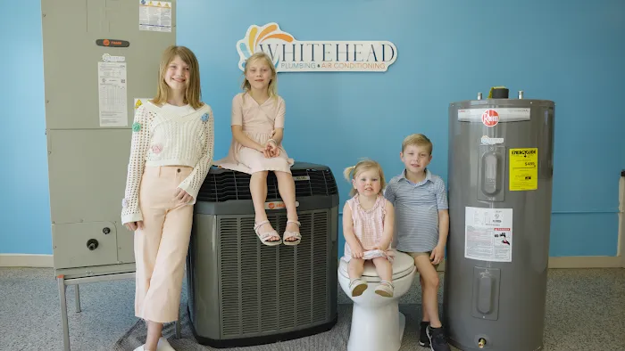 Whitehead Services Picture 7