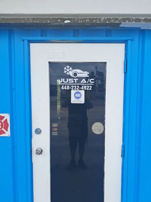 Just AC Auto Picture 9