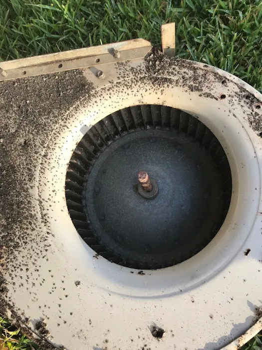 Coastal Emergency Restoration Services Picture 4