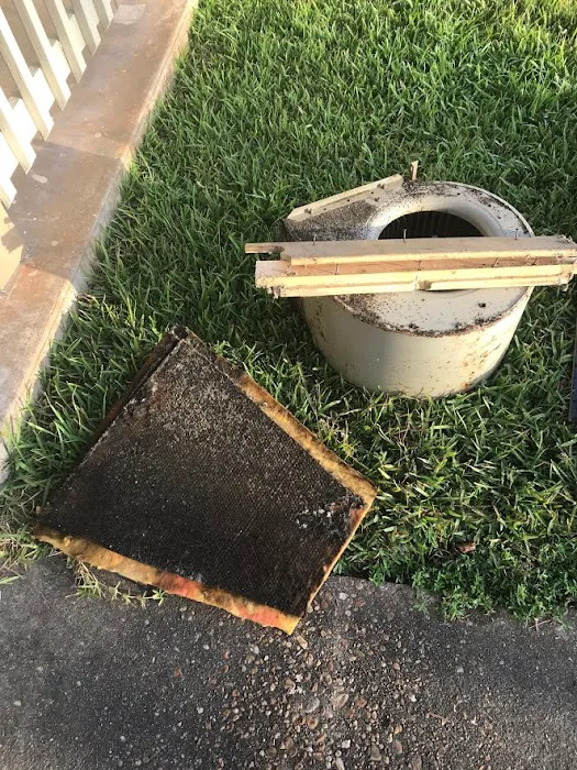 Coastal Emergency Restoration Services Picture 7