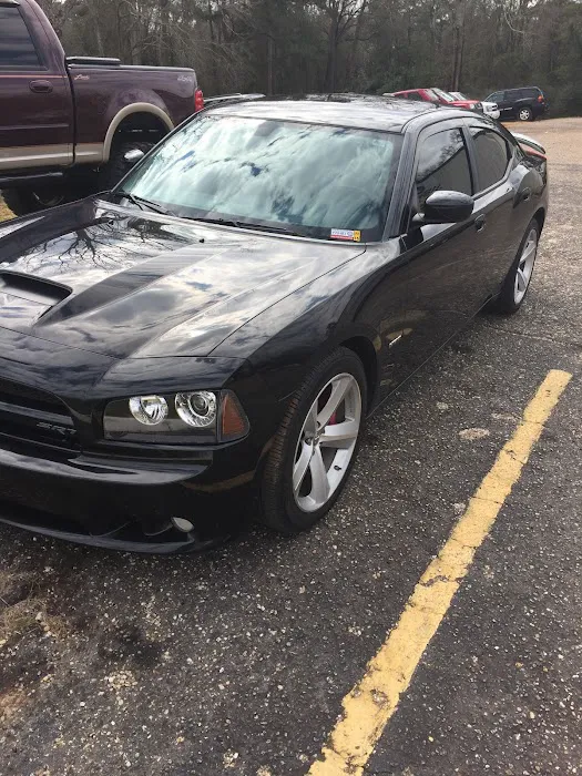 One Shot Automotive Picture 7