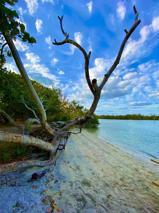 Brown Heating, Cooling and Plumbing Picture 1