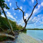 Brown Heating, Cooling and Plumbing