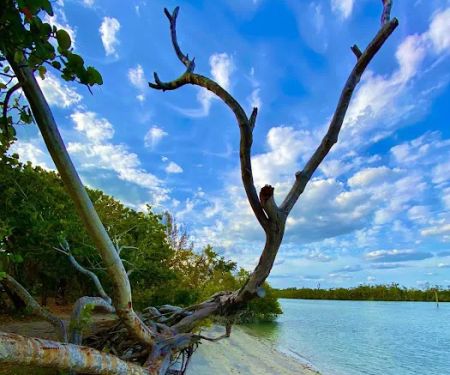 Brown Heating, Cooling and Plumbing