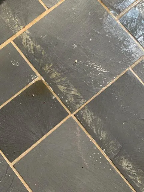 Stanley Steemer Picture 1