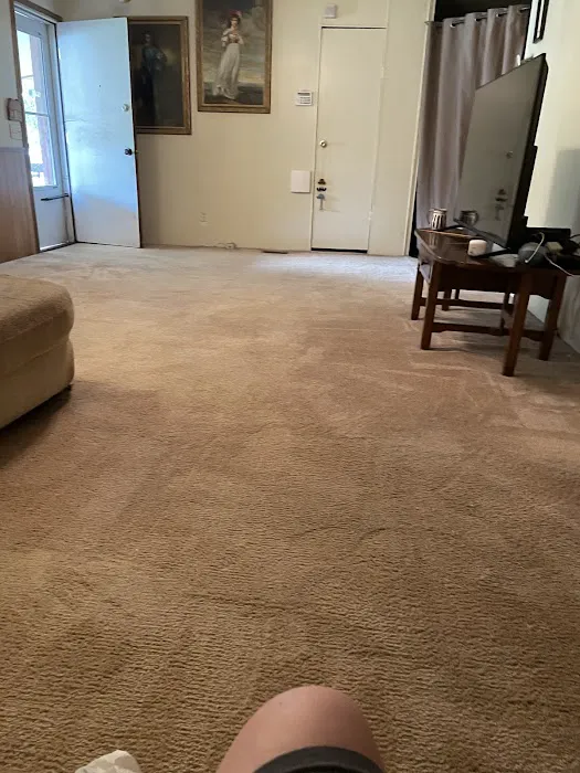 Stanley Steemer Picture 3