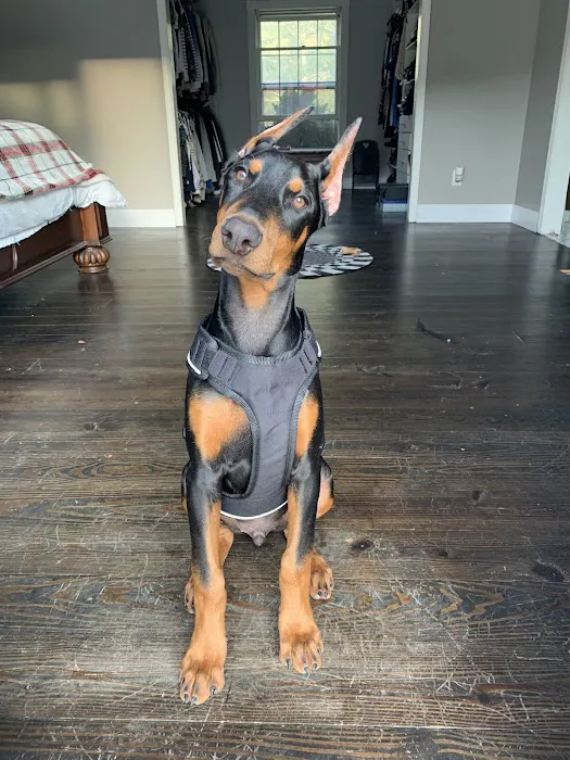 Carriage Heating and Cooling Picture 8