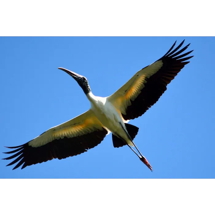 Harris Neck Heating & Air Picture 9