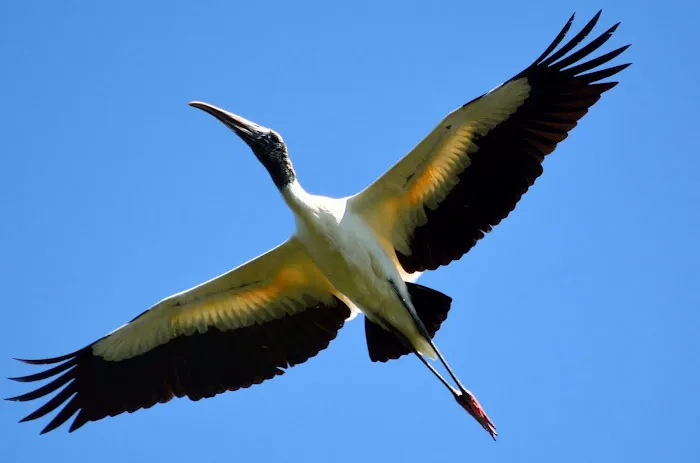 Harris Neck Heating & Air Picture 10