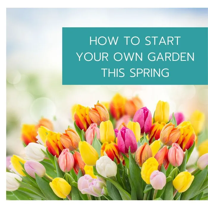 Gulfshore Air Conditioning & Heating Inc Picture 7