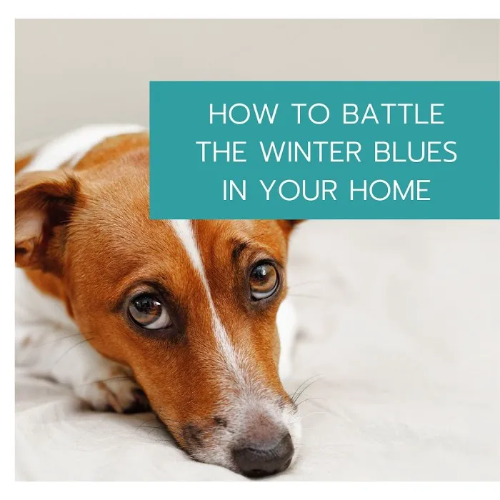 Gulfshore Air Conditioning & Heating Inc Picture 5