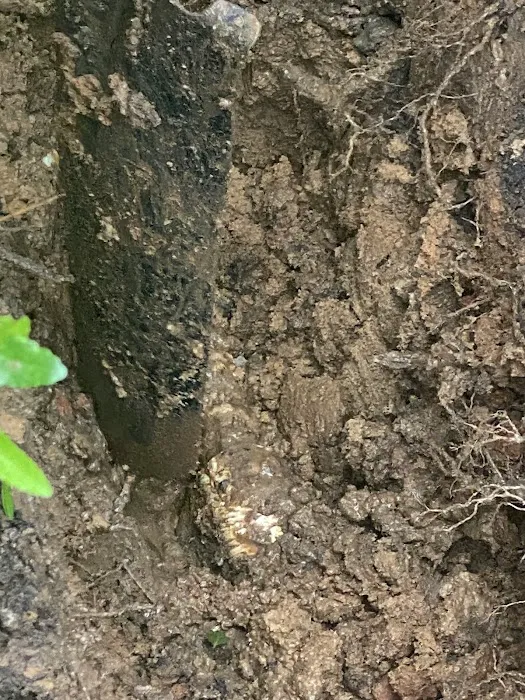 Vinson Plumbing & Electric Picture 7