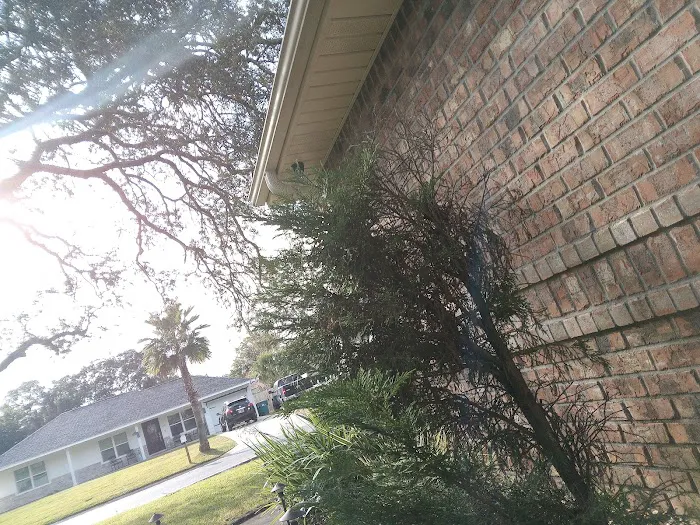 Preferred Environmental Solutions, Inc. Picture 2