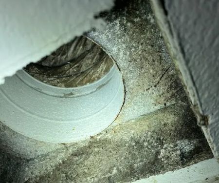 Preferred Environmental Solutions, Inc.