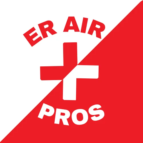 ER Air Pros Picture 2