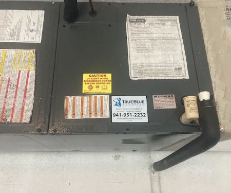 TrueBlue Air & Services