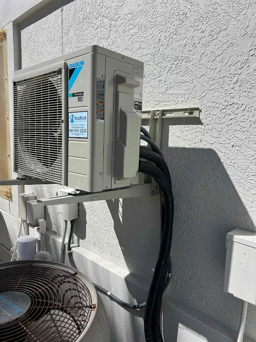 TrueBlue Air & Services Picture 4