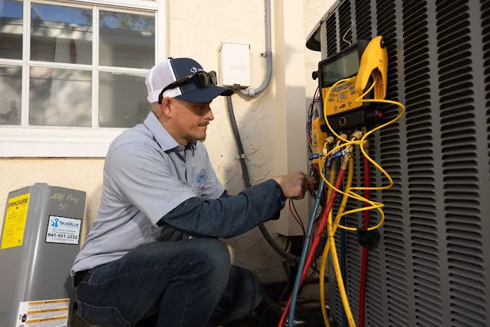 TrueBlue Air & Services Picture 6