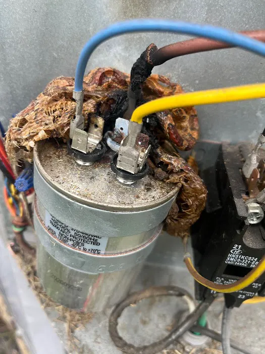 Bonomo Home Services LLC. Picture 3