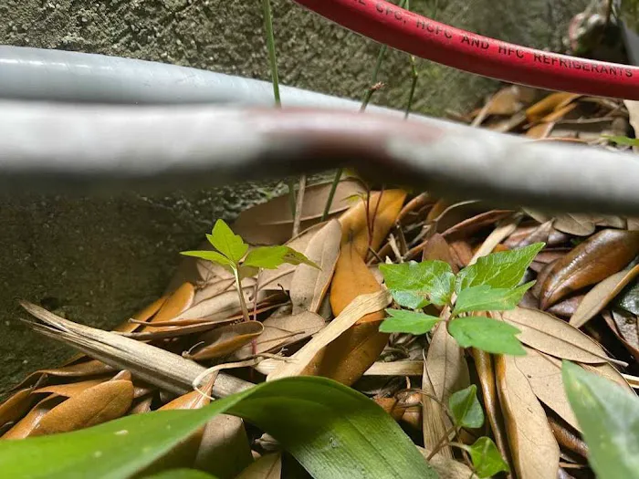 Service Emperor Heating, Refrigeration, and AC Repair Picture 5