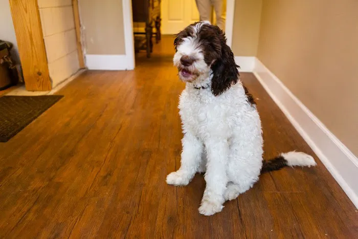 McCall's HVAC Picture 2