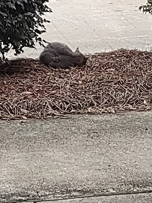 Trane Residential Systems Picture 1