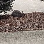 Trane Residential Systems